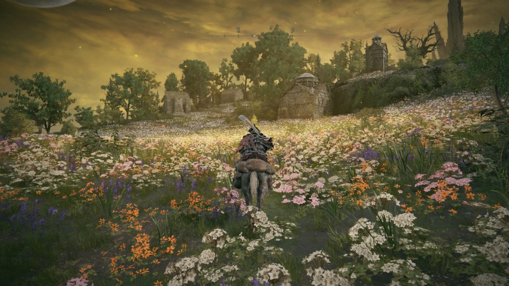 Elden Ring DLC Blumenwiese