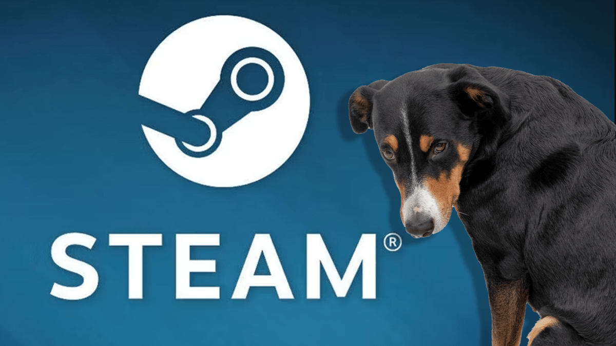 Ein niedlicher Hund steht vor dem Steam-Logo und schÃ¤mt sich