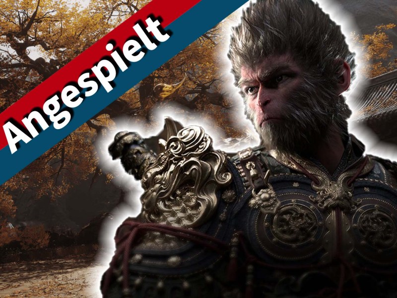 Der Affe aus Black Myth Wukong vor einem orangenen Hintergrund mit rot-blauem Banner.